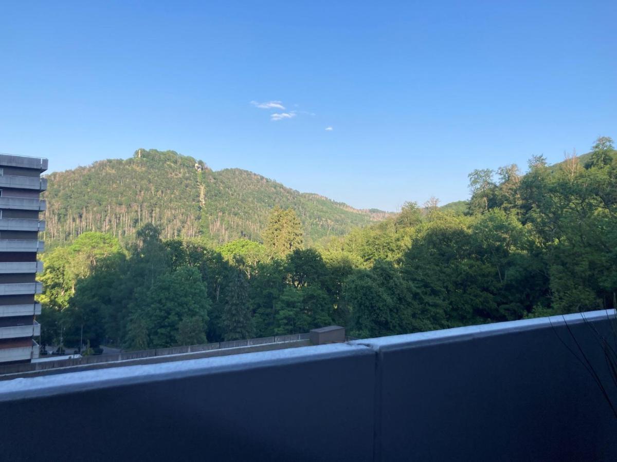 Das Kauzennest Daire Bad Harzburg Dış mekan fotoğraf